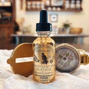 Red Shouldered Hawk Essence & Oracle