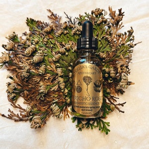 Jericho Rose Animistic Essence and Oracle