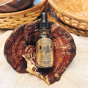 Reishi Animistic Essence and Oracle