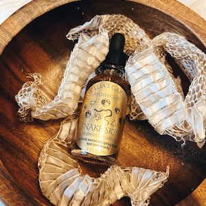 Snake Skin Animistic Essence and Oracle
