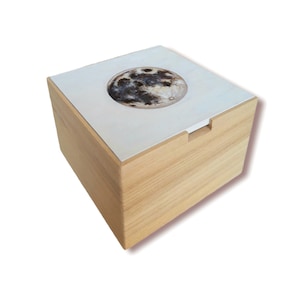 Caja Infusiones de madera de bambú Bioexxe | Caja de te con 6  compartimentos y tapa transparente - Organizador infusiones se pueden usar  como