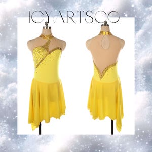 Ice Skating Dress “Amazing”