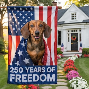 Pode incluir: Um c&atilde;o dachshund marrom envolto em uma bandeira americana, com uma bandeira correspondente ao fundo. A bandeira diz "250 YEARS OF FREEDOM" em texto branco sobre um fundo azul. O c&atilde;o est&aacute; sorrindo, e a cena &eacute; definida em frente a uma casa branca.