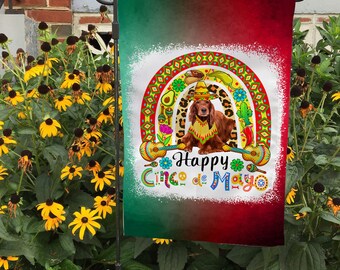 Irish Setter Sombrero Rainbow Flag, Happy Cinco De Mayo Mexican Garden Flag, Mexican Fiesta Gift, Fiesta Yard Flag May 5 Fiesta welcome Flag