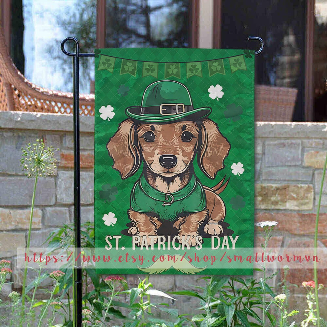 saint patricks day dachshunfd picture