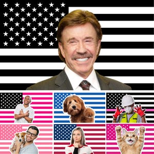 May include: A composite image featuring a portrait of a smiling man with a mustache against a black and white American flag. Below are images of people, a dog, and a cat, each set against a stylized American flag background.