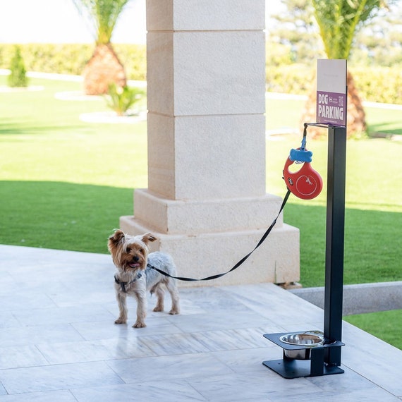 Outdoor dog lead hot sale