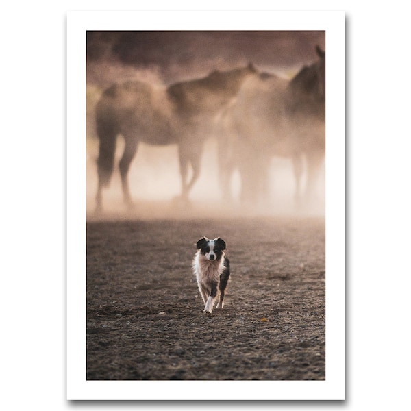 Dog Photography Wall Decor | Fine Art Photography Print | Moab, Ut | Mini Australian Shepard herds horses | THE GOODEST BOY 002