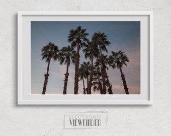 Palm Trees in Palm Springs Wall Decor | Photography Art Print | Palm Springs CA | Palm Trees sway in the breeze at sunset