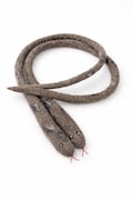 Felt Snake Cat Toy: New Zealand Wool, Hunting Instincts