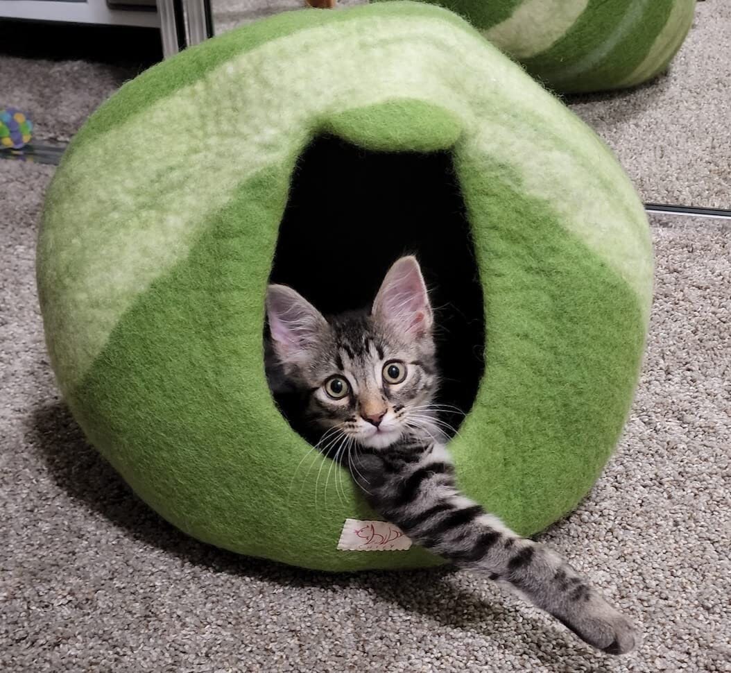 cat caves for sale