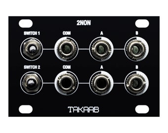 Takaab 2NON 1U Passive Dual ON-OFF-ON Switch Eurorack Synthesizer Module by Siam Modular