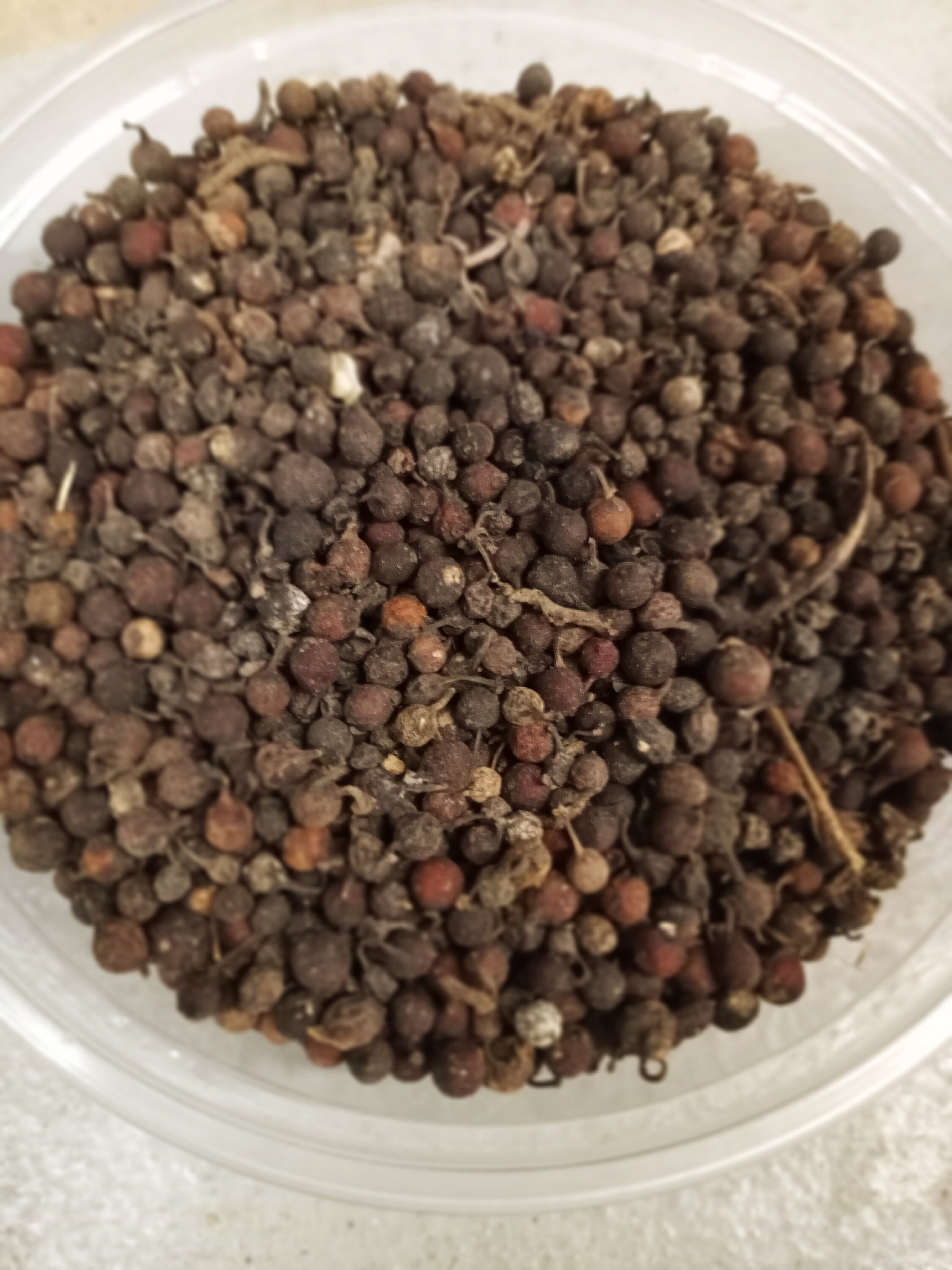 Gratula TV 23 HEALTH BENEFITS OF UZIZA (BLACK PEPPER)