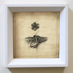 May include: A black and white illustration of a four-leaf clover growing from a rugby ball labeled "GILBERT" with the letters "D", "C", "E", and "B" labeling the different parts of the plant.