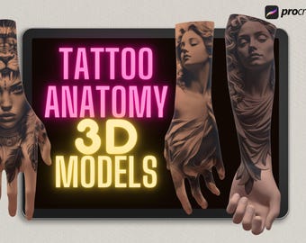 Procreate 3d model bundle, tattoo artist 3d anatomy XL, 23 models