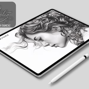 Procreate / Master illustration kit