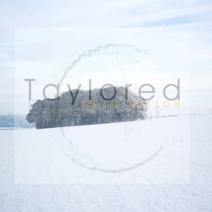 May include: A snowy field with a single tree in the middle of the field. The sky is a light blue with some clouds. The text "Taylored Imagination Photography" is superimposed over the image.