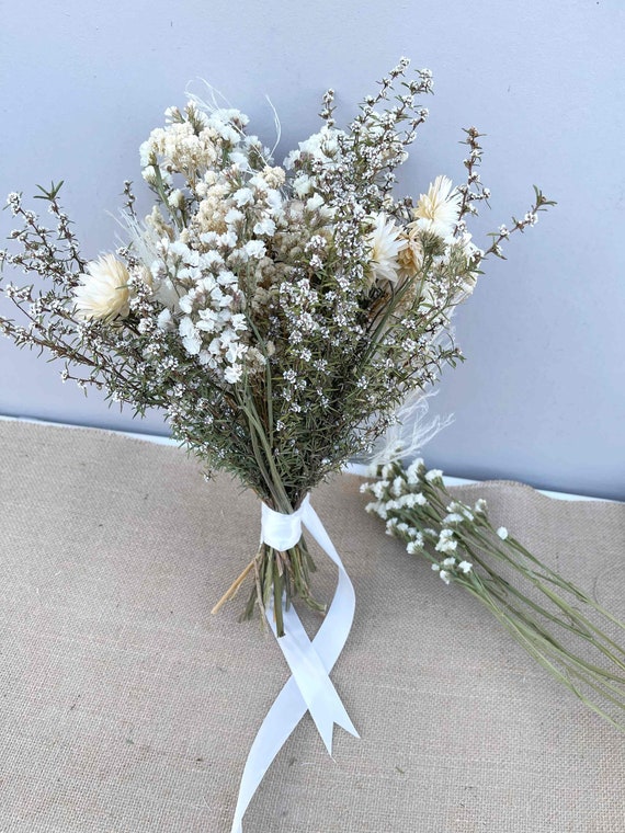 Dried Flowers Babys Breath Bouquet Ivory White Flowers Natural
