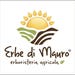 ErbediMauro store logo