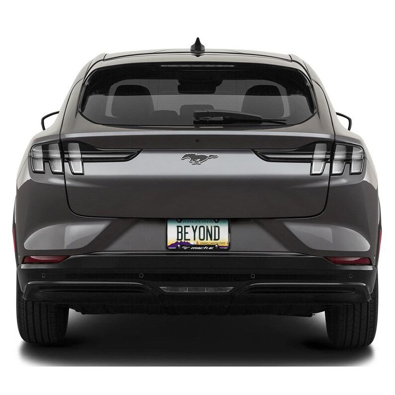 iPick Image for Ford Mustang Mach-E Black Real Carbon Fiber 50 States License Plate Frame, Official Licensed image 4