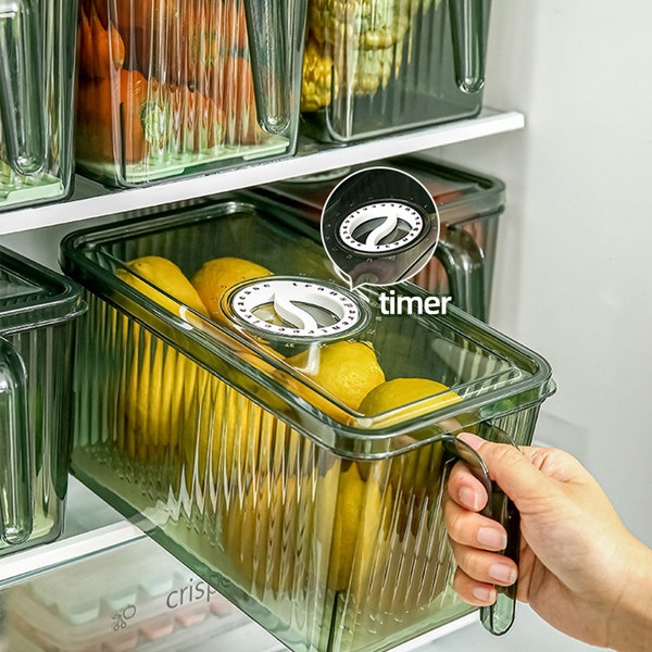 Kitchen refrigerator storage / food storage box / crisper with handle / egg storage box / storage container