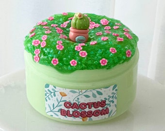 Bingsu Slime, Cactus Blossom, DIY Slime