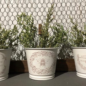 French country tins. Set of 3