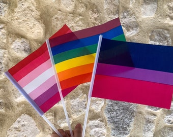 Gay Pride Vlag Lesbische Biseksuele Gay Pride Parade Queer Lesbische Biseksuele Gay Pride Regenboogvlag Lesbische LGBT
