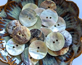 10 Agoya Perlmuttknöpfe, klassisk hell-perlfarben med 2 Knopflöchern, 23 mm, 25 mm