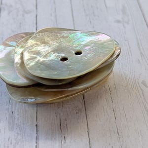 Large Agoya Pearl Button: 41mm Natural Mother of Pearl, Made in Germany