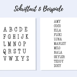 May include: A black and white alphabet chart with the letters A through Z in a simple font. The chart is next to a list of names, including Amy, Coco, Ella, Fl&oacute;ki, Luna, Marley, Milo, Nala, Skyler, Teddy, and Zoey.