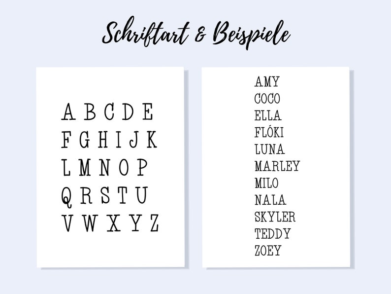 May include: A black and white alphabet chart with the letters A through Z in a simple font. The chart is next to a list of names, including Amy, Coco, Ella, Fl&oacute;ki, Luna, Marley, Milo, Nala, Skyler, Teddy, and Zoey.