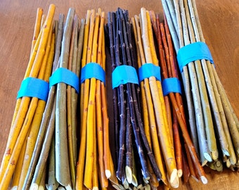 Basket Maker Color Grab Bag 20 Willow Cuttings Living Unrooted Salix