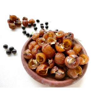 Lerak soapnut/soapberry/klerek Sapindus rarak image 5