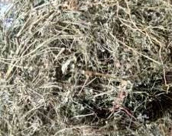 Rumput Mutiara Kering - Oldenlandia Leaf Dried