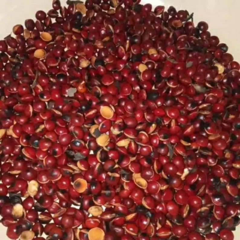 Biji Saga Merah Kering Red Saga Seeds Dried Roasted