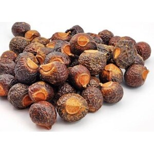 Lerak soapnut/soapberry/klerek Sapindus rarak image 2