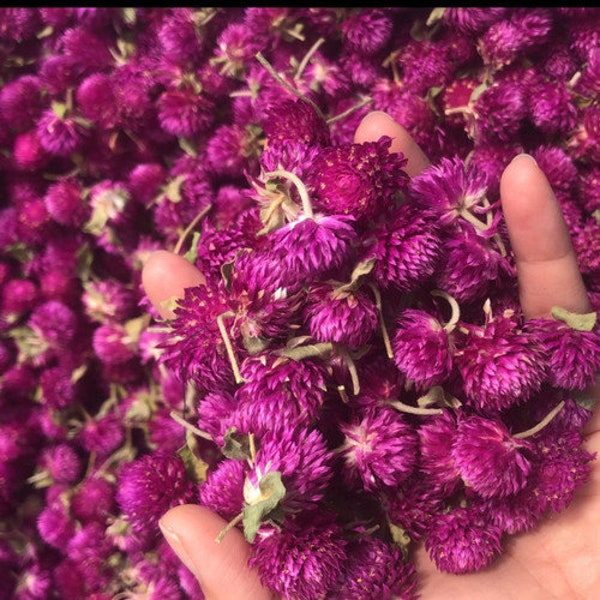 Teh Bunga Globe Amaranth Kering (Dried Globe Amaranth Tea)