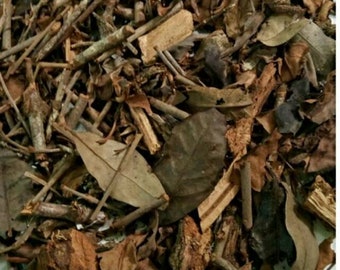 Daun Benalu Kopi Macrosolen cochinchinensis Leaf (Dried and Powder)