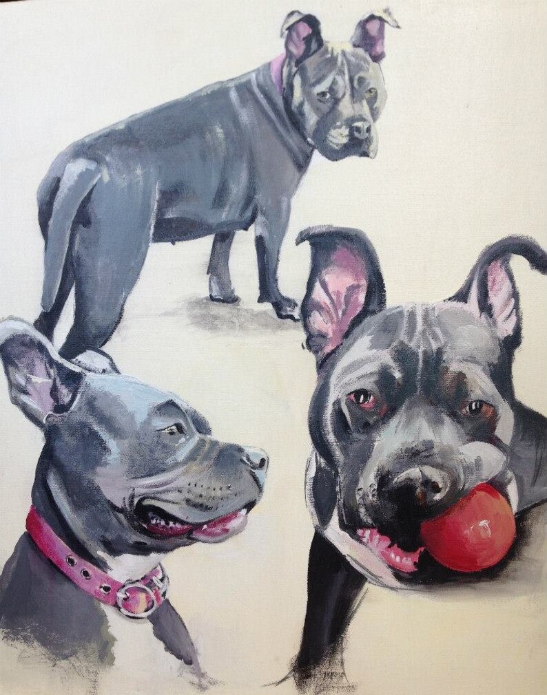 Pet Portraits, Acrylic Portraits, Painting, Gift, Christmas Gift