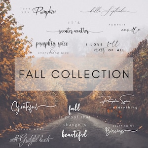 103 Fall Instagram Story Stickers, Calligraphy Instagram Sticker, Instagram Sticker, Blogger Girl Sticker Instagram, Cute Instagram Stories