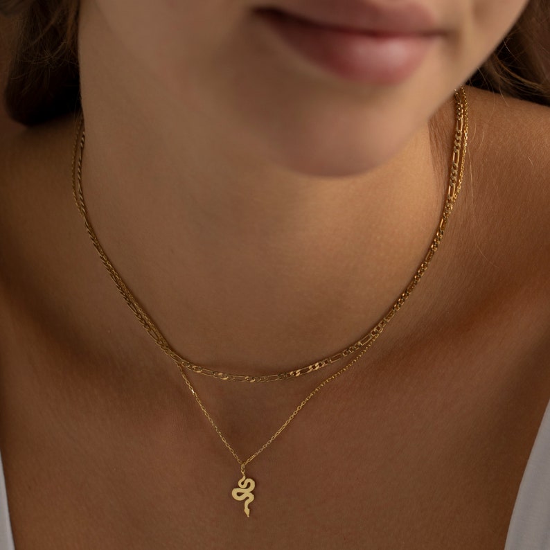 May include: A layered gold necklace set. The top chain is a flat curb chain, and the bottom chain features a small snake pendant. The jewelry is displayed on a person's neck and chest.
