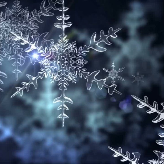 Real Snowflakes Falling