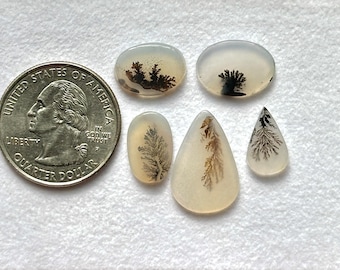 5 Piece, Scenic Agate Cabochon, Dendritic Agate Gemstone Slice, Loose Gemstone For Jewelry, Loose Gemstone, SIZE - 13x8x2mm To 20x13x2mm