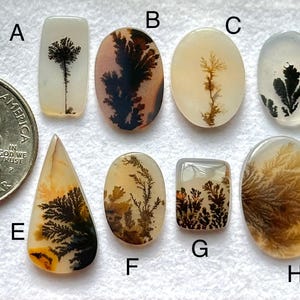 Op de afbeelding: Acht agaat cabochons met dendritische patronen in tinten van bruin, zwart en wit. De cabochons zijn gerangschikt in twee rijen van vier, met letters A tot en met H die elke steen labelen.