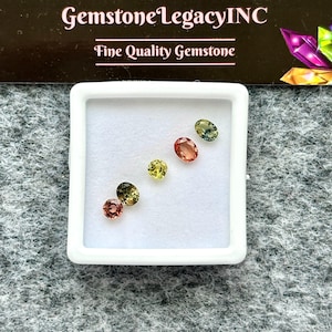 May include: A white square display box containing five loose faceted gemstones in various shapes and colors, including shades of yellow, orange, green, and pink. Above the box, a black sign displays the text GemstoneLegacyINC Fine Quality Gemstone.
