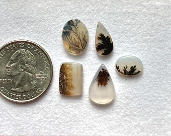 5 Piece, Scenic Agate Cabochon, Dendritic Agate Gemstone Slice, Loose Gemstone For Jewelry, Loose Gemstone, SIZE - 11x8x2mm To 15x10x2mm