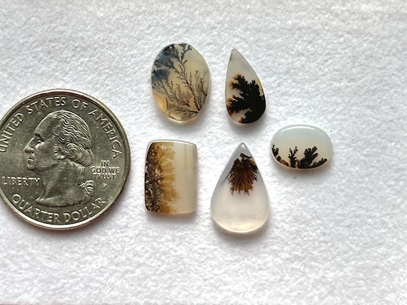 5 Piece, Scenic Agate Cabochon, Dendritic Agate Gemstone Slice, Loose Gemstone For Jewelry, Loose Gemstone, SIZE - 11x8x2mm To 15x10x2mm