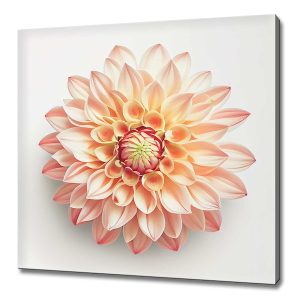 Beautiful Cream Peach Dahlia Flower Modern Floral Design Home Decor Canvas Print Wall Art Picture