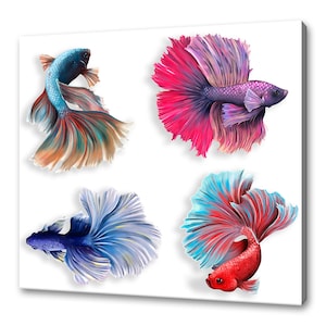 Colourful Siamese Fighting Fish, Betta Fish Watercolour Painting Splatter Style Modern Design Home Decor Canvas Print Wall Art Picture